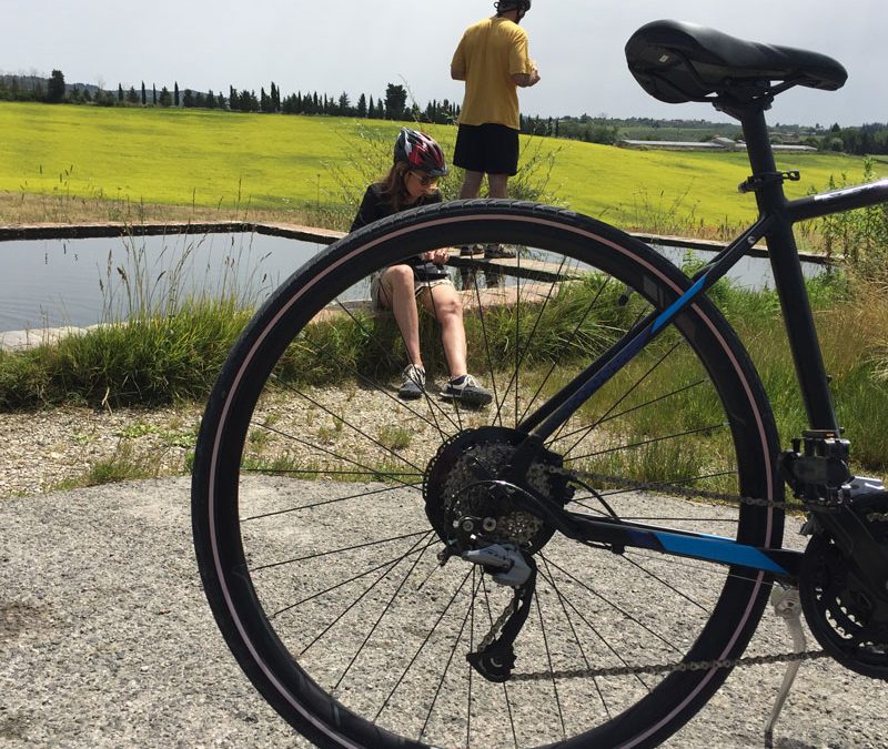 Florence to Siena by bike!