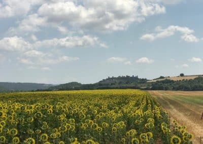 Monteriggioni