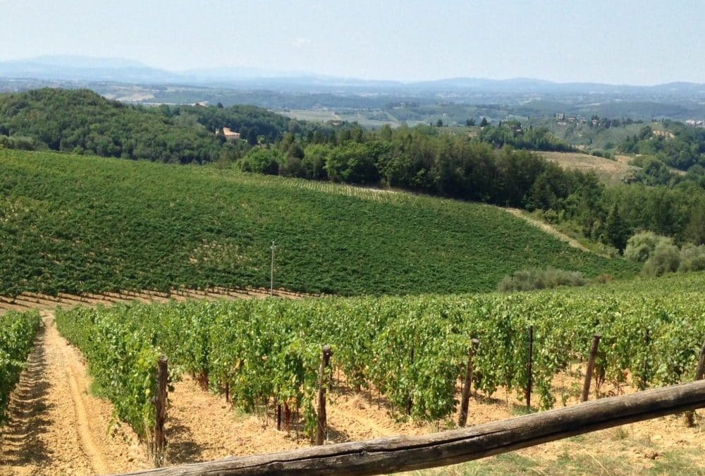 San Gimignano hilltop town in Tuscany made easy by bike!