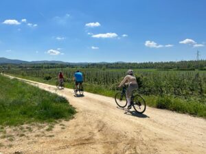 Visit Chianti Classico with a private bike tour