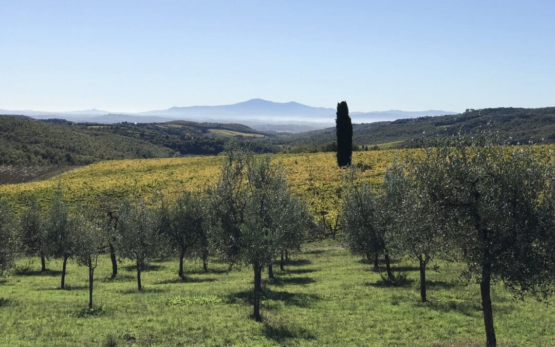 bike tour tuscany